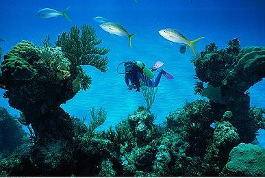 晨风暗影序幕锁定三月！《上古卷轴 Online》即将开启全新篇章